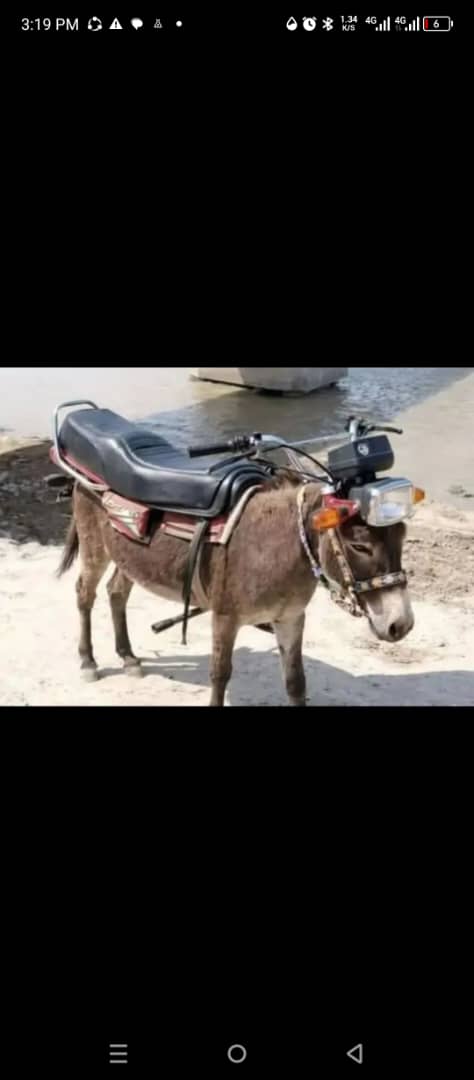Rechargeable donkey, fuel ⛽ is very expensive now. Apply this system and thank me later 🙏
