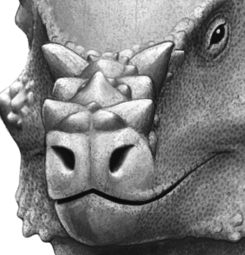 EDGE Central tweet media