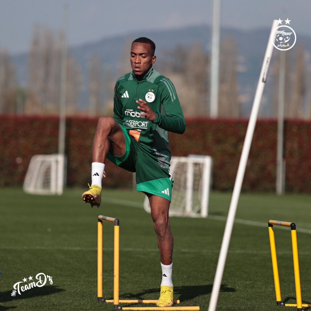 _ALGFOOT✍️ tweet media