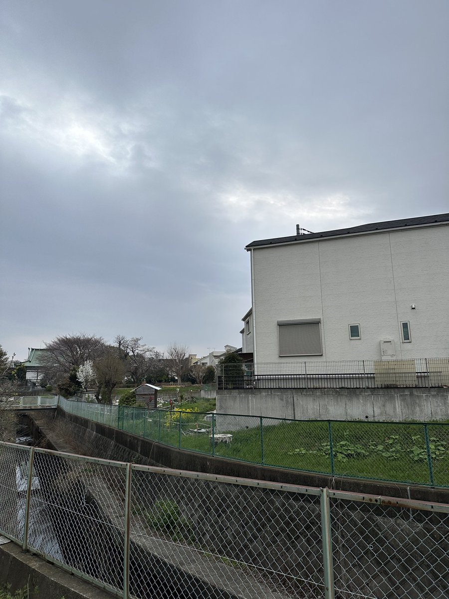 くまごろう tweet media