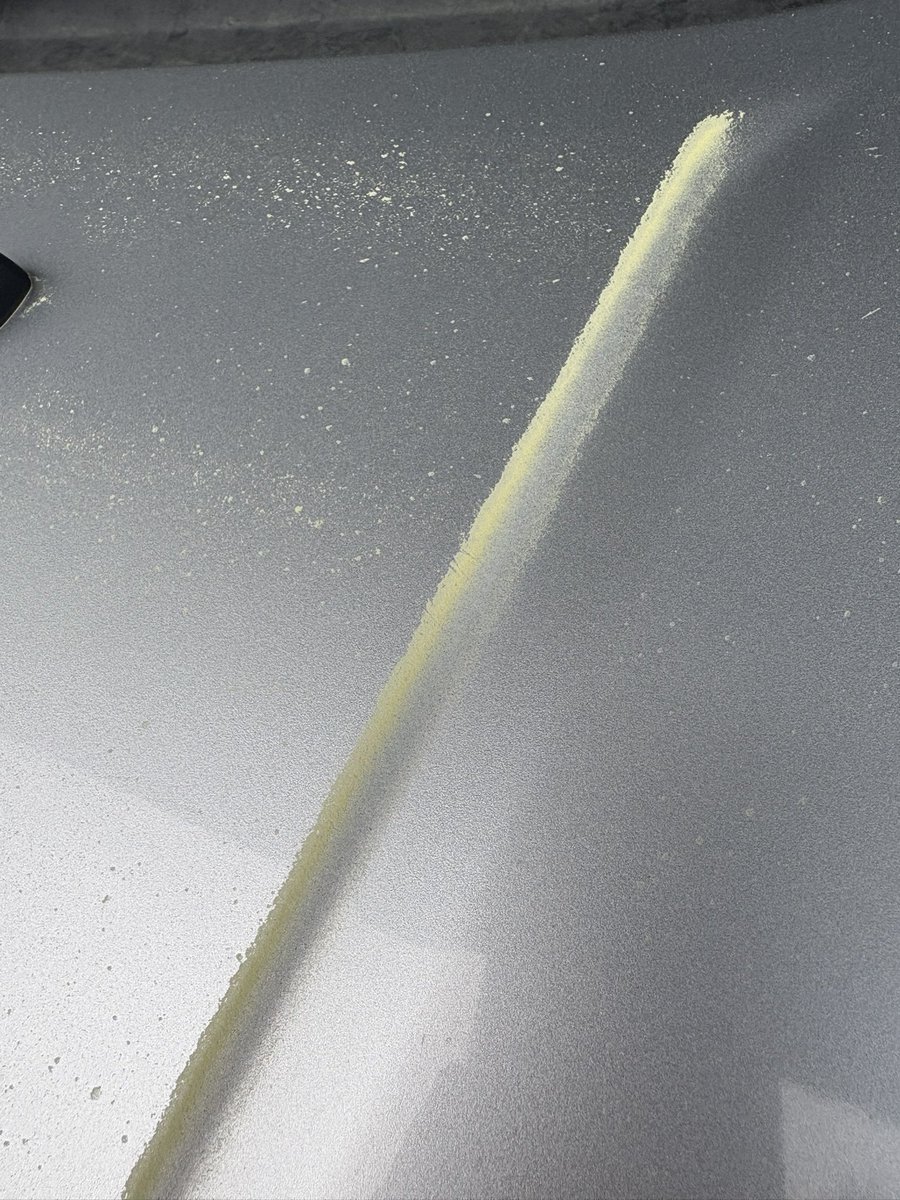 多田 竜也◤SASUKE/ninja warrior◢ tweet media