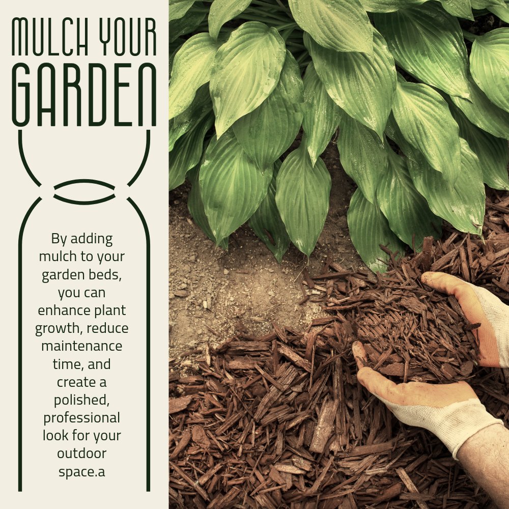 Natether's tweet photo. 1/2 Adding mulch to your garden isn't just about aesthetics—it's a game-changer for plant health. What's your favorite type of mulch to use? #Mulch
Natalie Etheredge, Realtor®   
Berkshire Hathaway Homeservices RW Towne Realty
(757) 435-2981 
Licensed in VA &amp; https://t.co/9LOeuRZxJQ