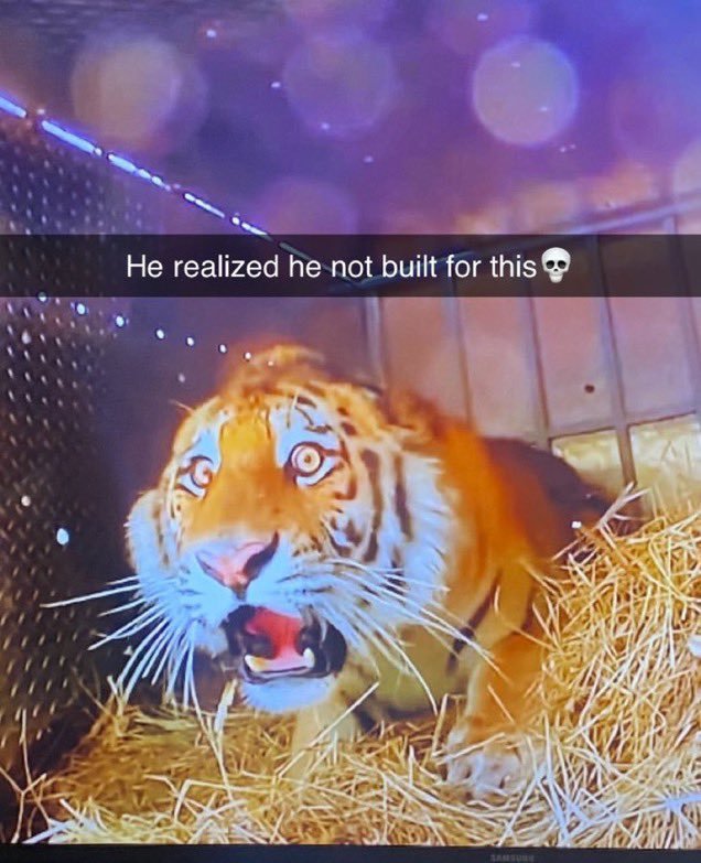 Italian 🚅🇮🇹🇻🇦 tweet media