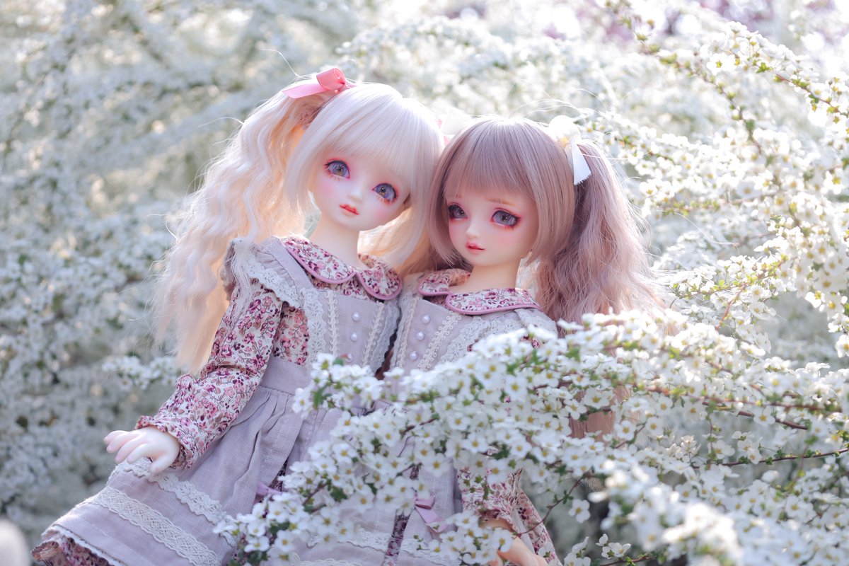 夏みかん🍊 tweet media