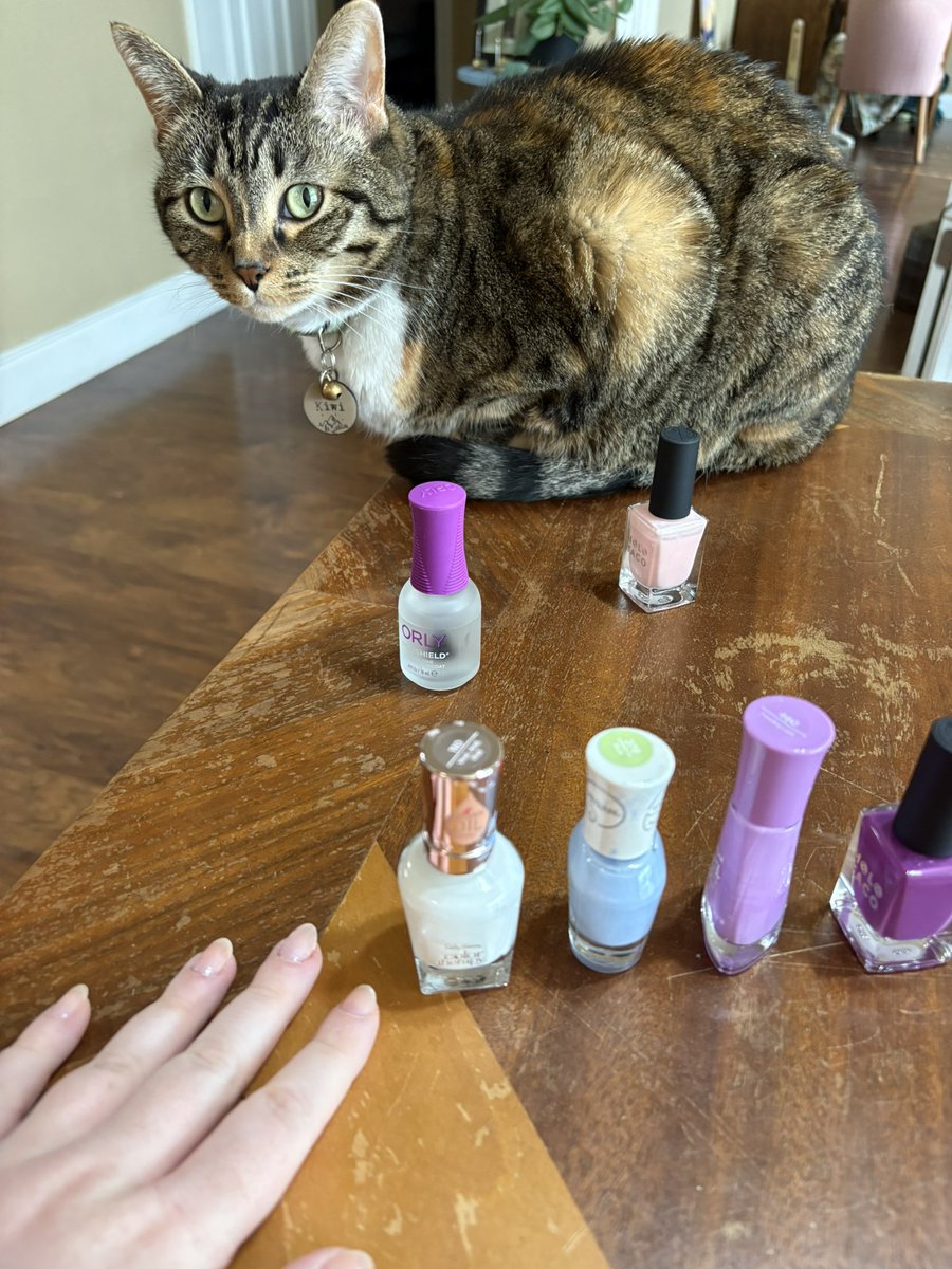 Kiwi 🥝 tweet media