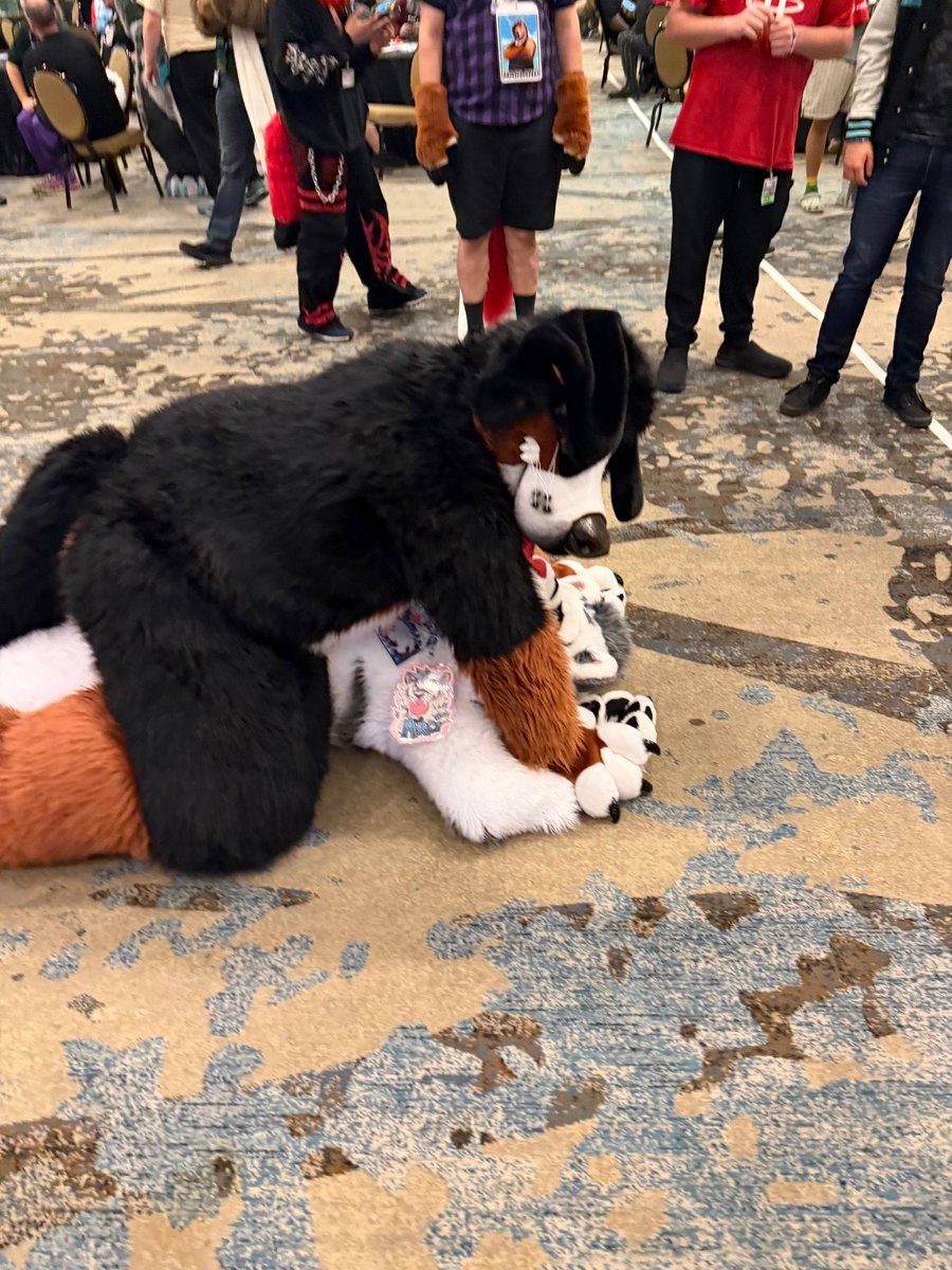 July 🔜 FWA tweet media