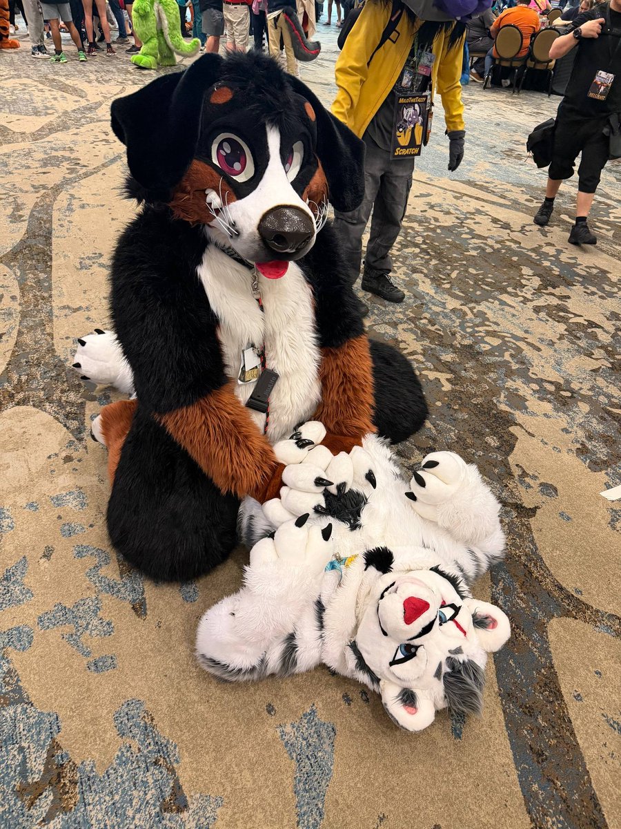 July 🔜 FWA tweet media