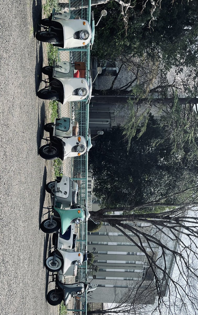 昨日は近場の寄り合いで昼メシ散歩に参加しました。　菜の花や桜を最後尾で愛でながら1人の時に行きたい所をピックアップして後日楽しみたい。