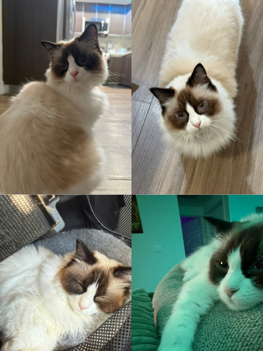 Lee Bergantino tweet media