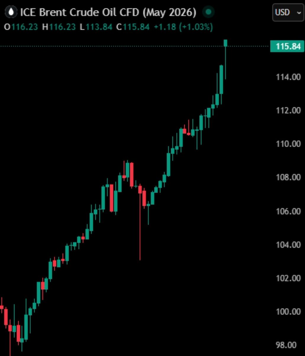 witty turtle tweet media