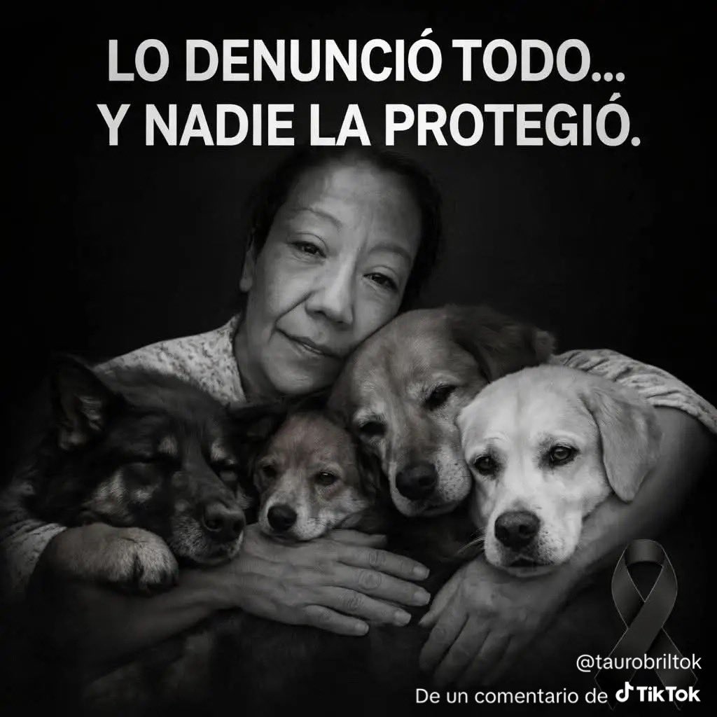 IvanNavaMx's tweet photo. https://t.co/4rtkUVQIZR