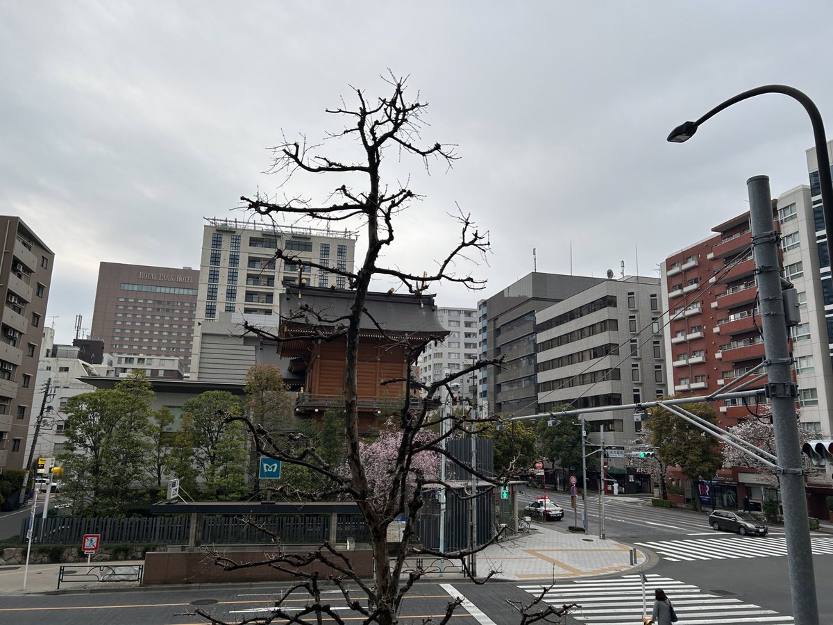 人形町江戸甘味處水天宮前つくし五代目繁盛記[令和版] tweet media