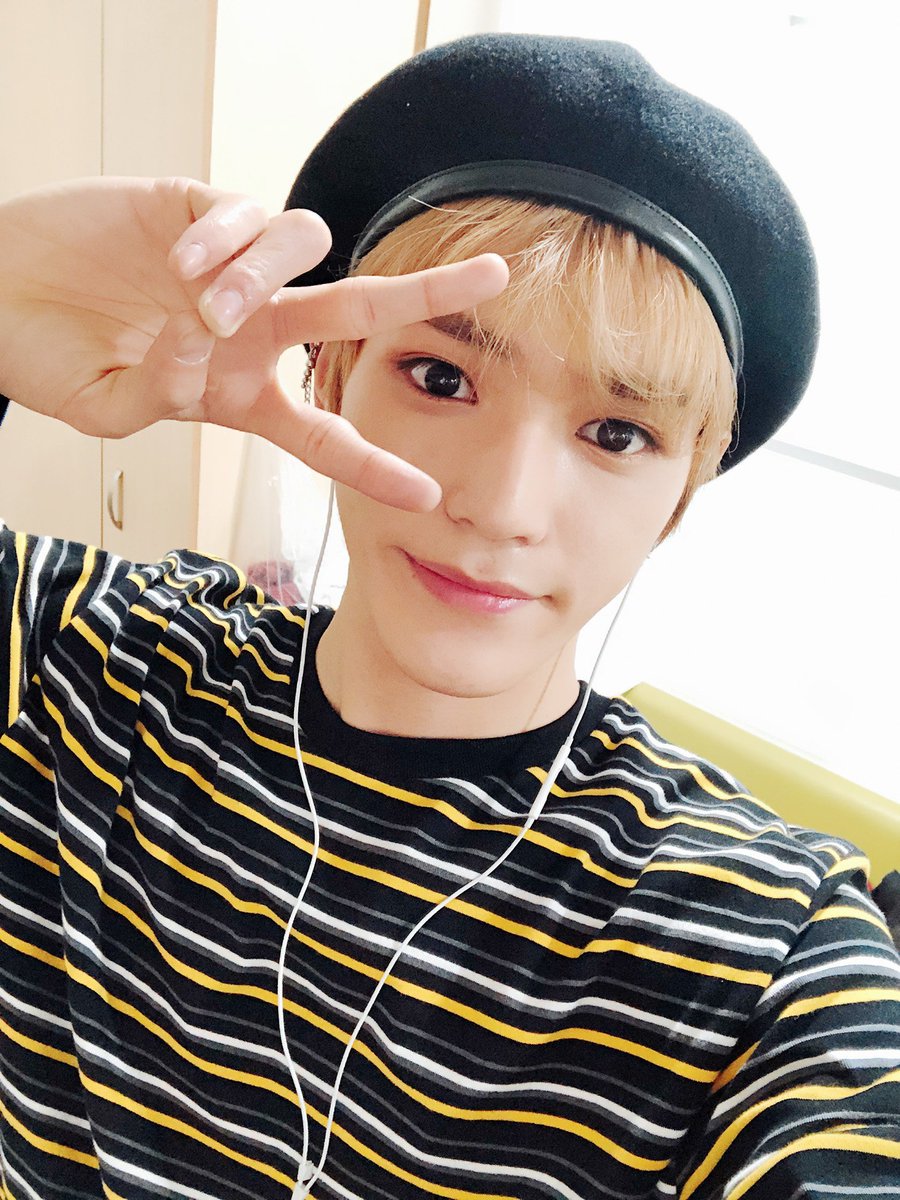 tydy archive tweet media