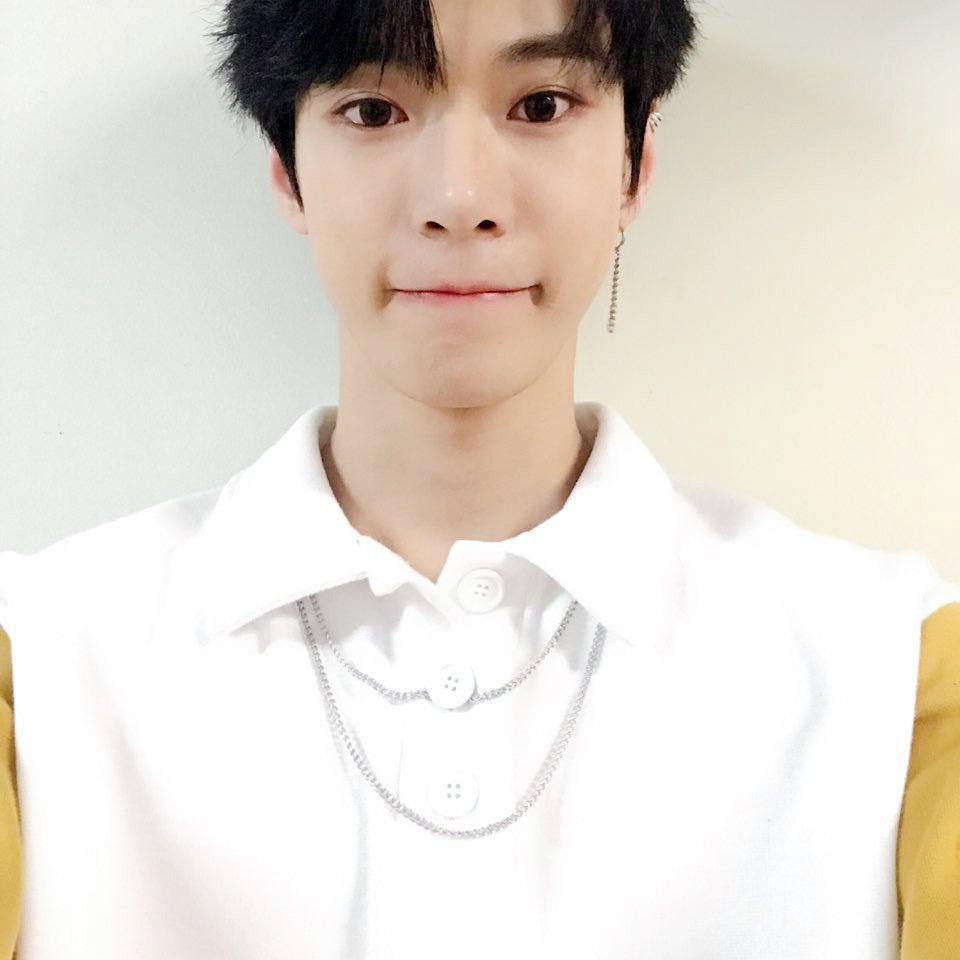 tydy archive tweet media