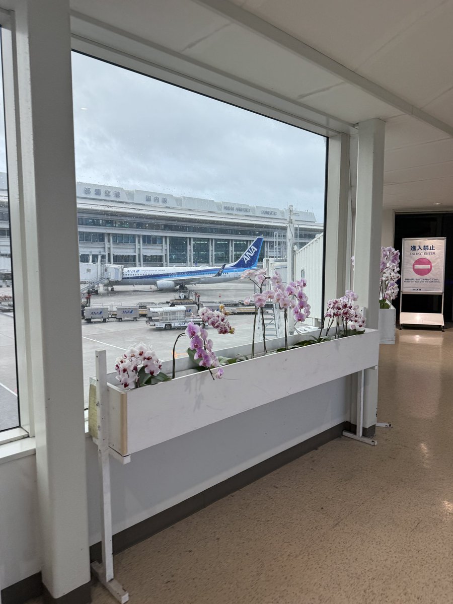 アヘ顔ながもん @九州ﾁﾎｰ労働中 tweet media