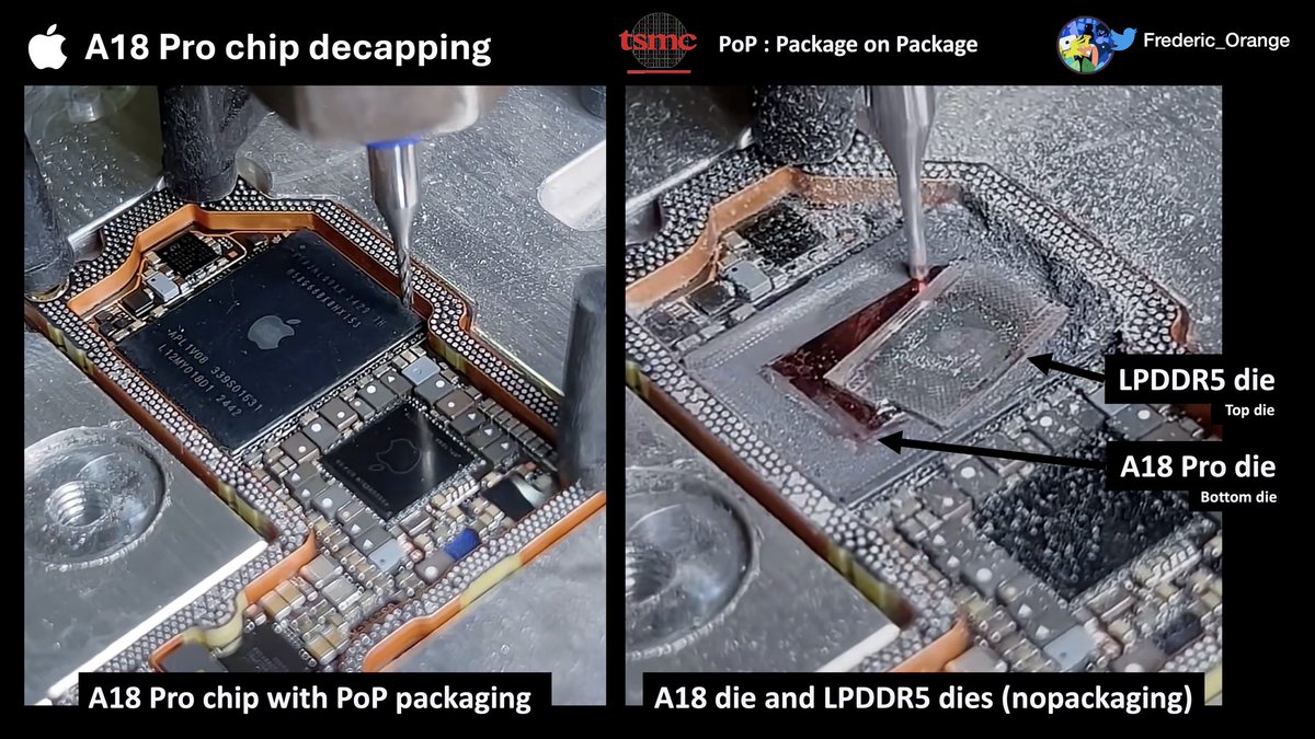 Fred the Frenchy tweet media