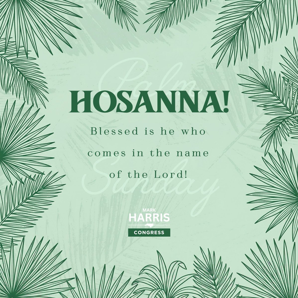 Mark Harris tweet media