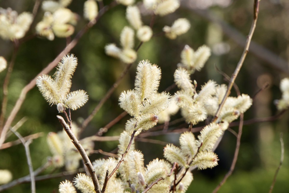 emo(えもちゃん) 企業公式応援 tweet media