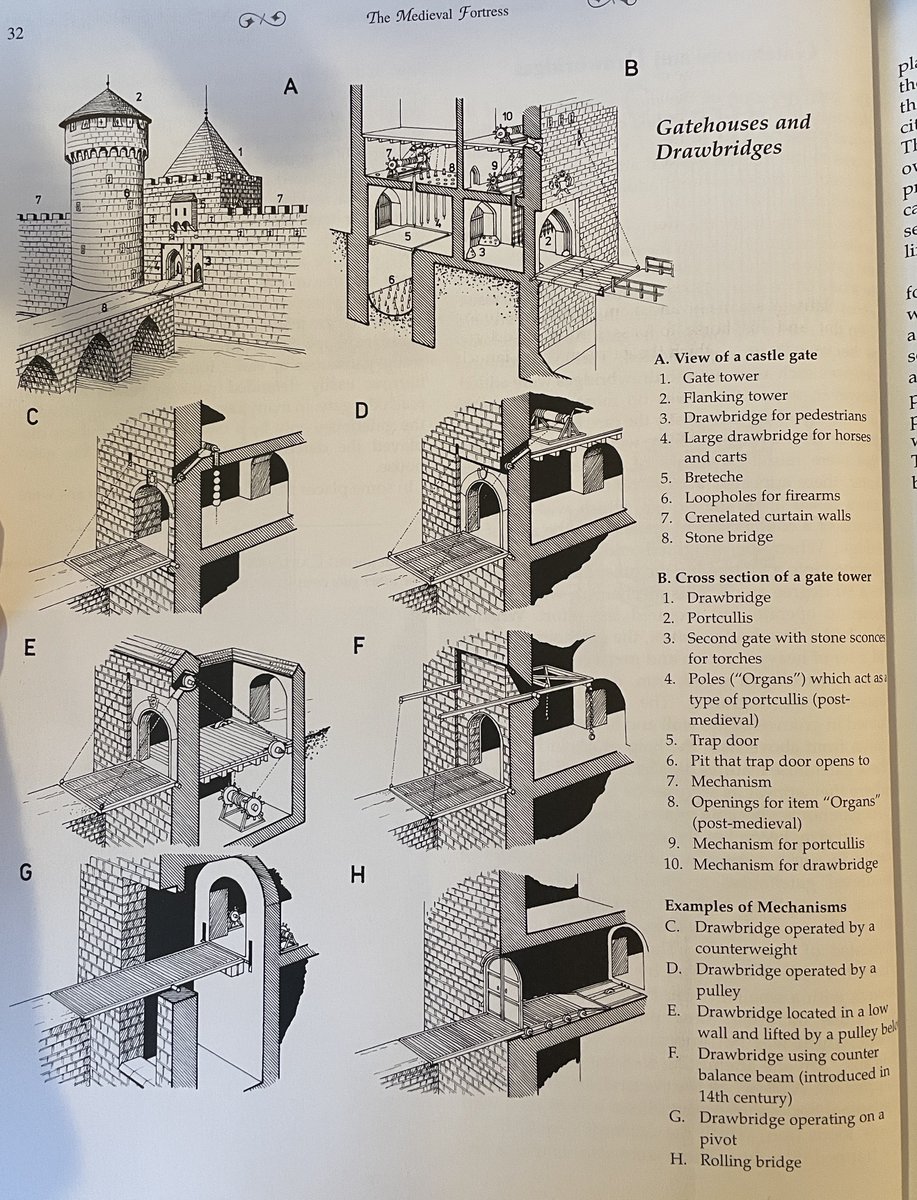 Memory Medieval tweet media