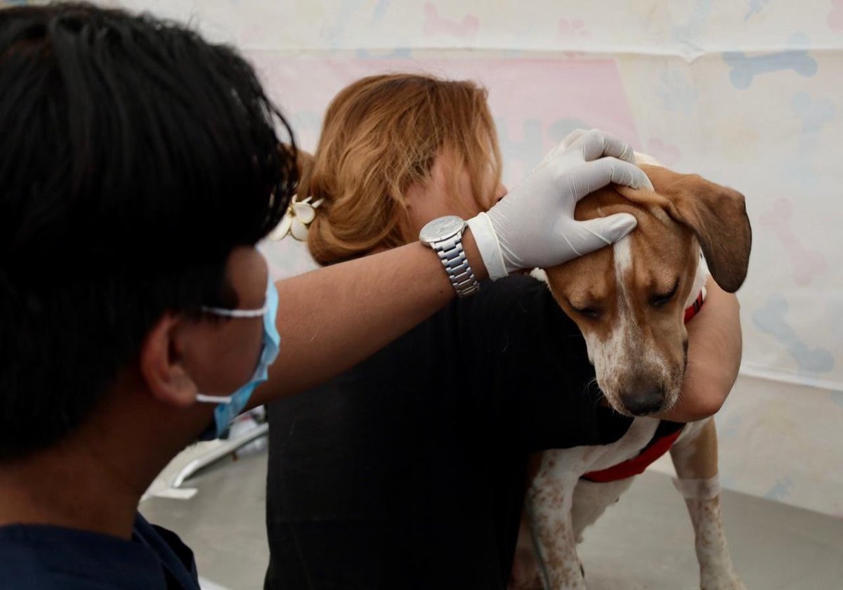 Tuxtla Gutiérrez tweet media