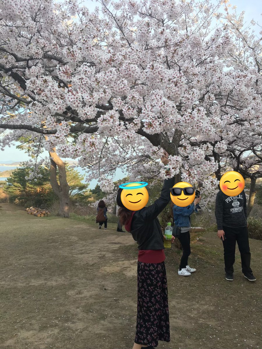 ミュージアム・オルゴール館🎶🎸🎤🎻🎺🎶 tweet media