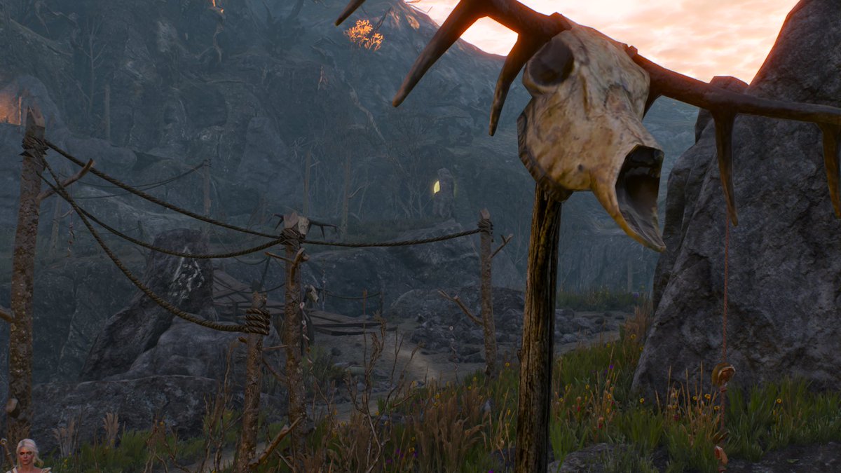 - (@sofiajhasan) on Twitter photo 