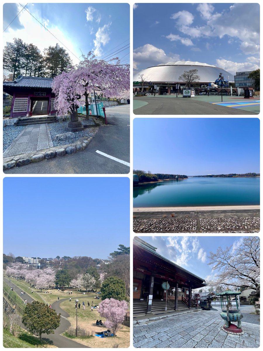 麦ちゃん@日米株修行中 tweet media