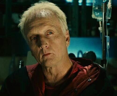 nuru 🥭 tweet media