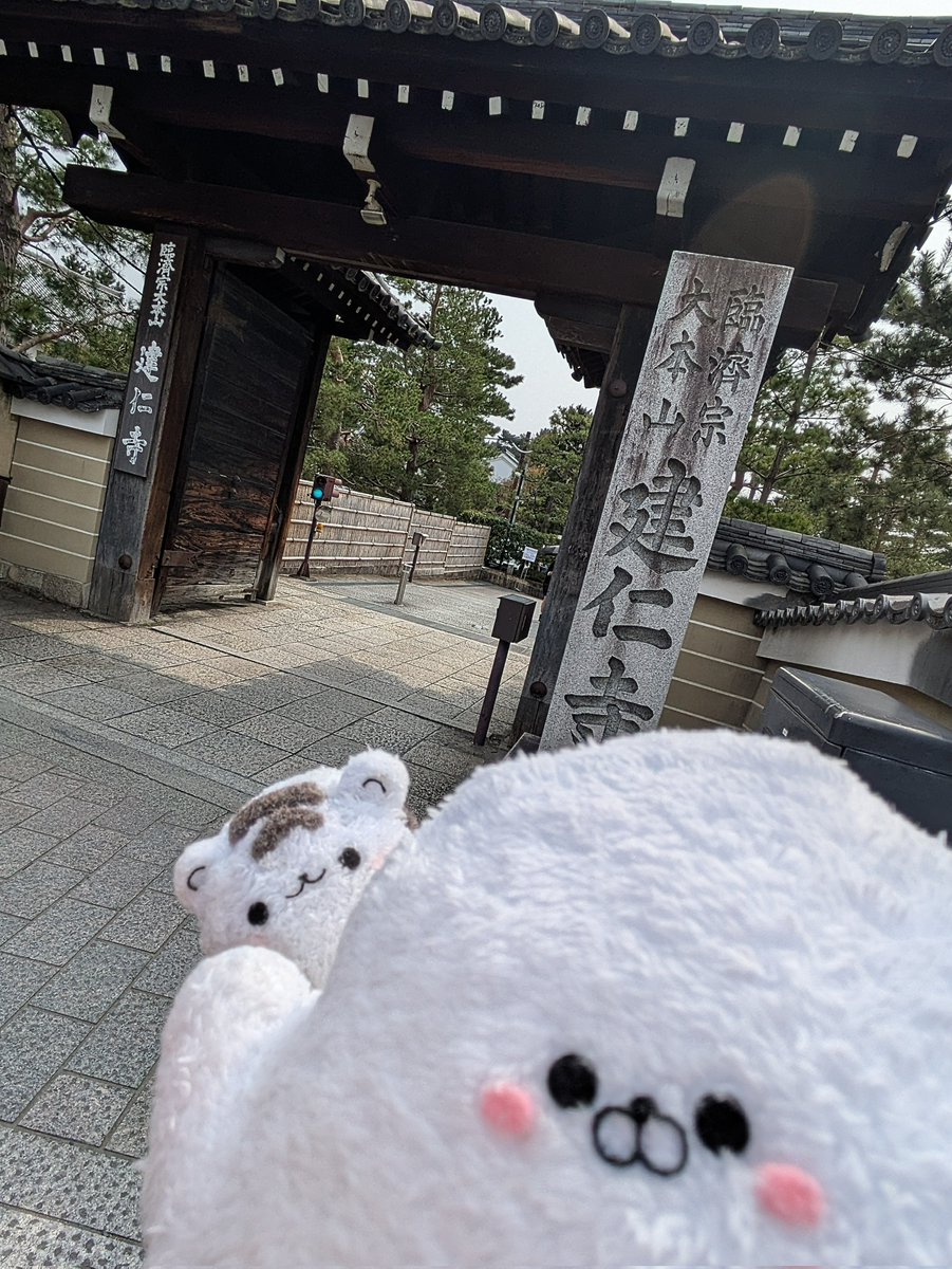 あざらしアイドル組 tweet media