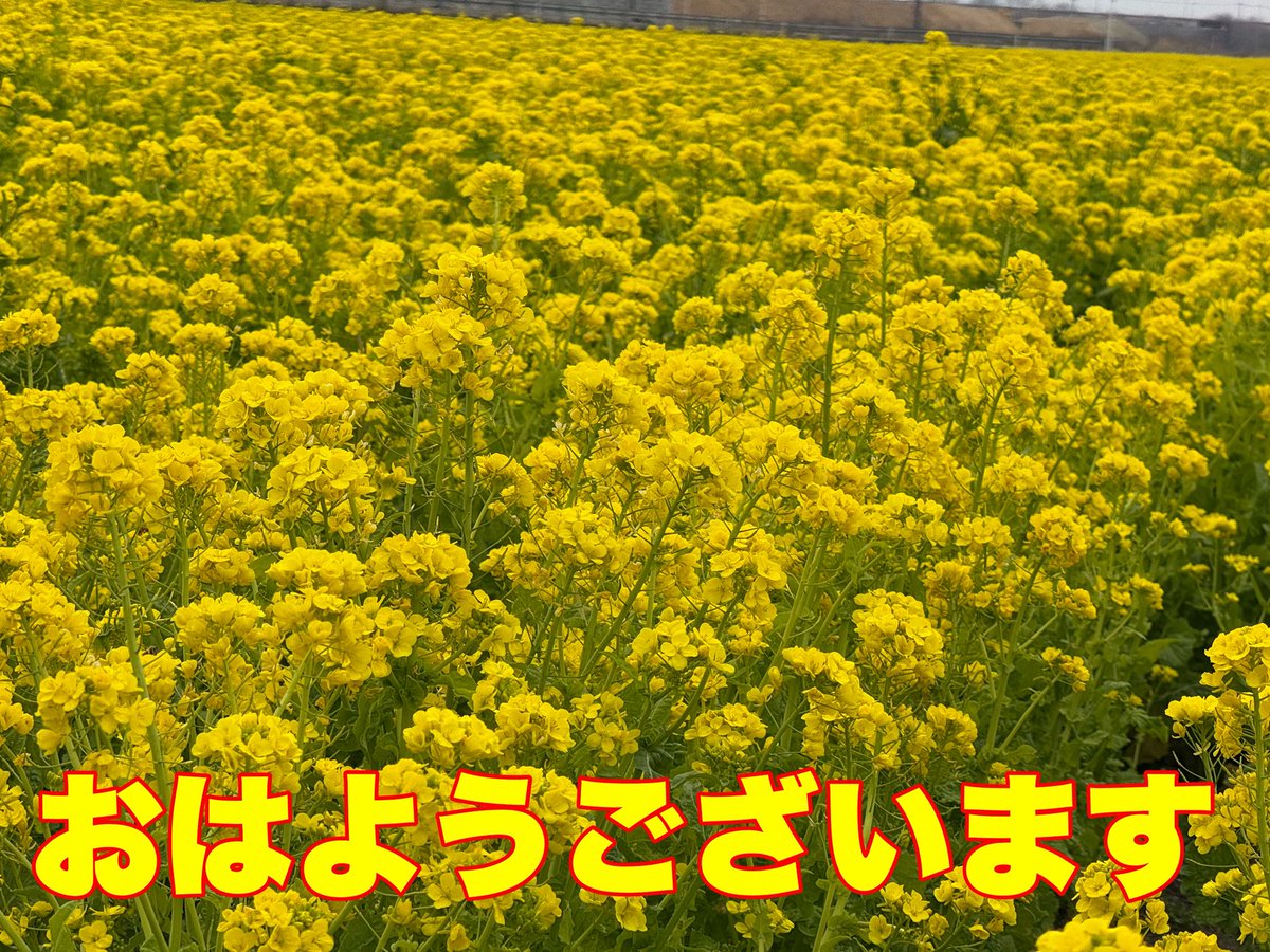 さんぺい tweet media