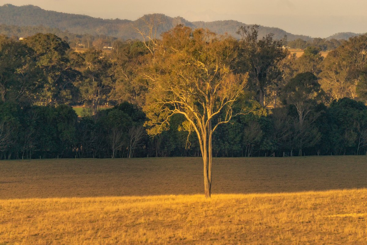 Michael Buda 📸 tweet media