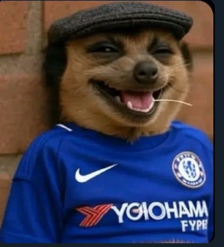 PROMISE OF GOD 💙(CFC) tweet media