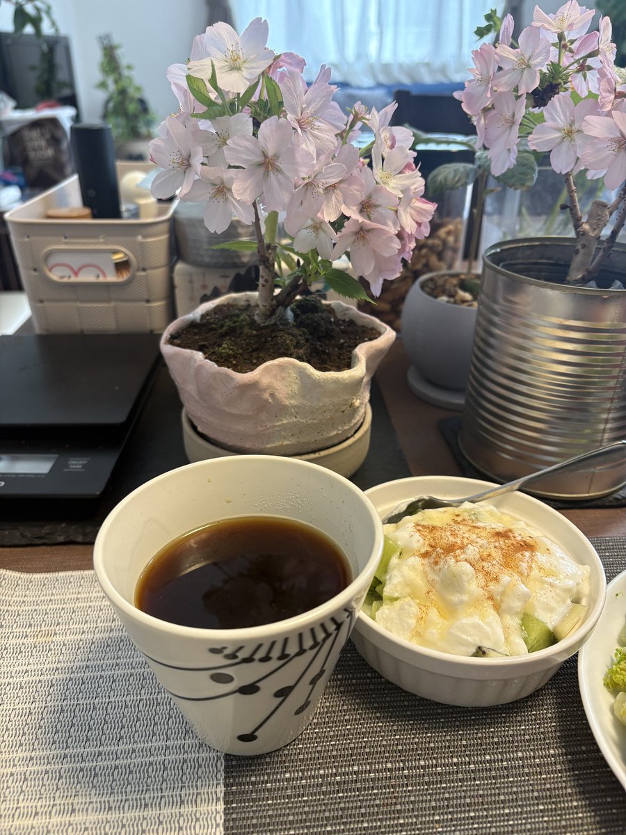 しのぶ@Ren.9632 tweet media