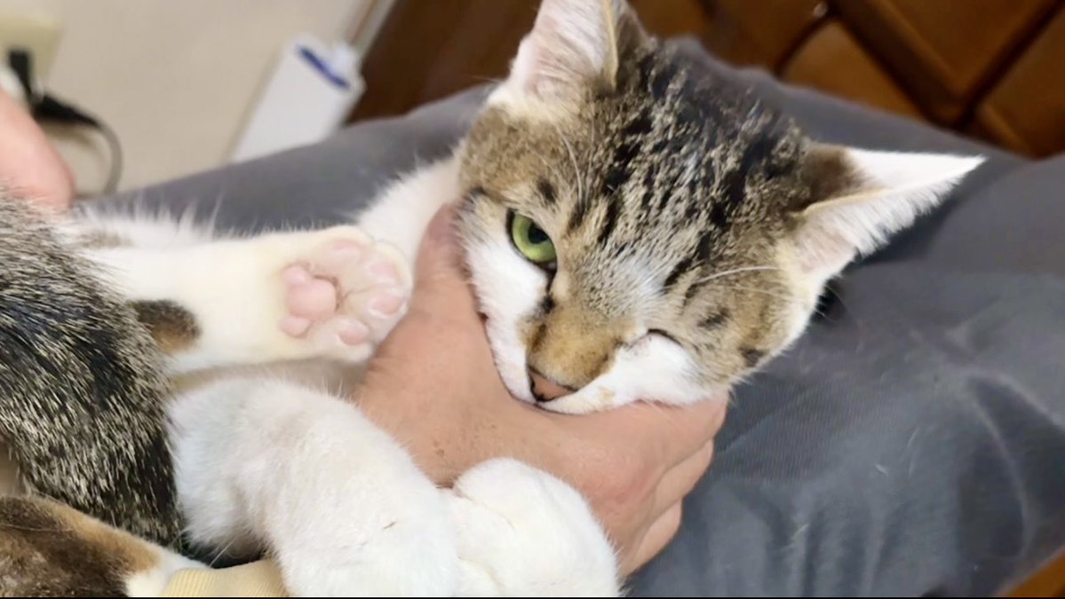 那須の長楽寺 tweet media