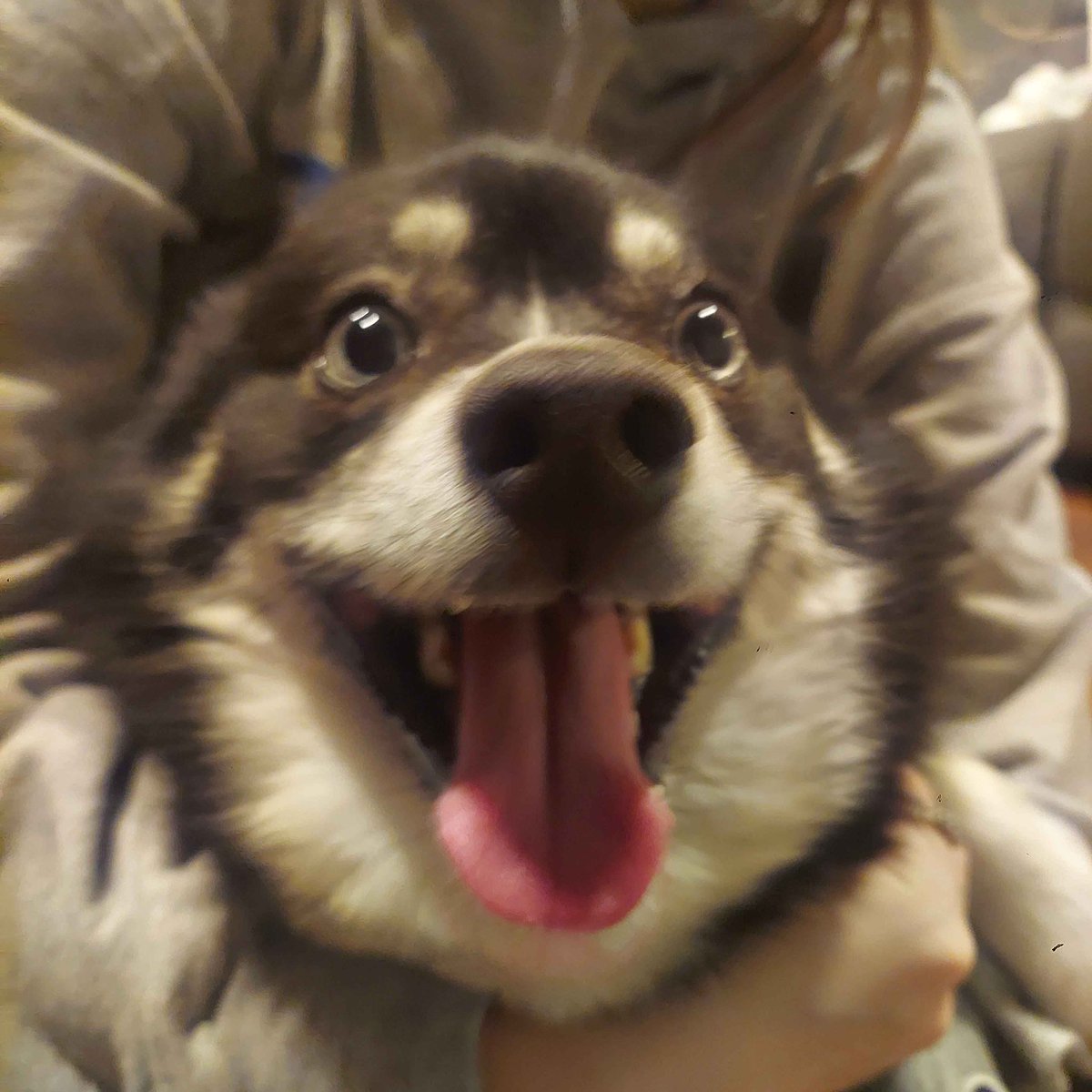 luna ݁ ˖ ✦ ‧₊˚ ⋅ tweet media