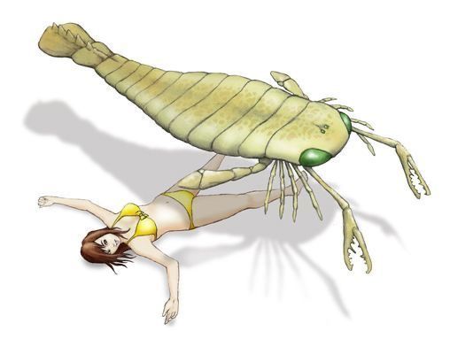 🌧️🐛 io tweet media