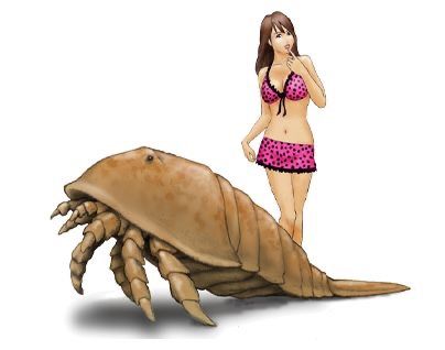 🌧️🐛 io tweet media