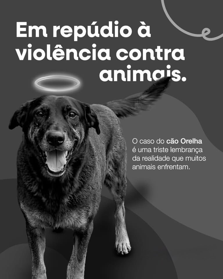 Marco Valverde ® tweet media