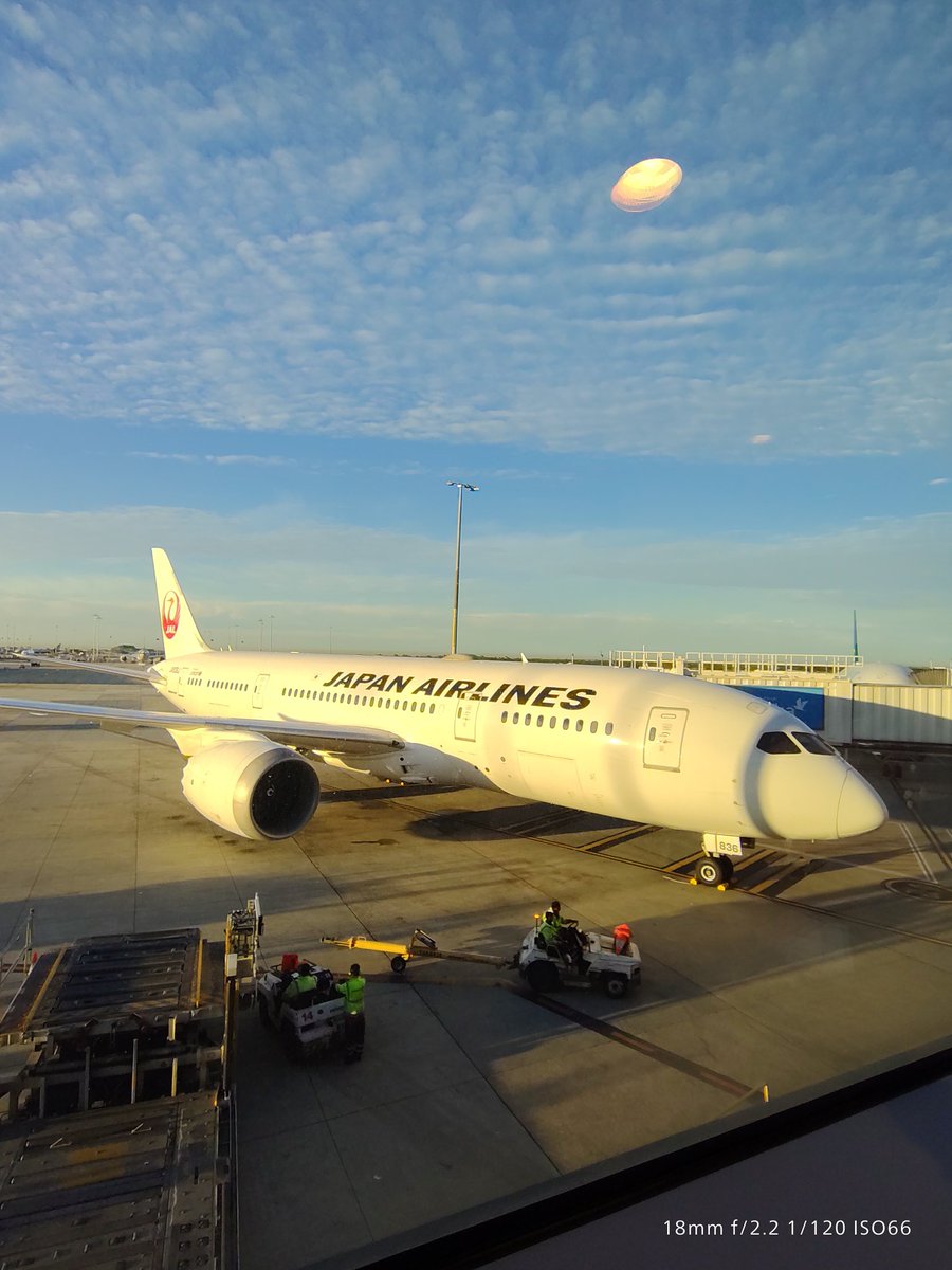 ちょぴん(Hangover/TMR/🐼)_6/6PEAKS裏磐梯 tweet media