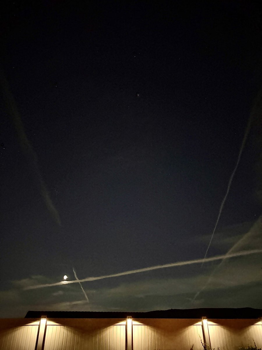 Stephanie tweet media