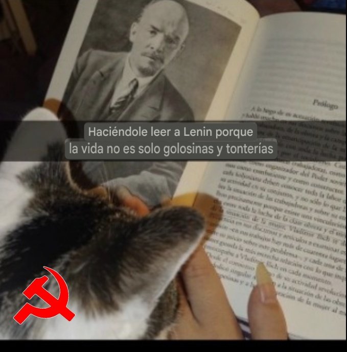 Milena❤️‍🔥⚒️🚩 tweet media