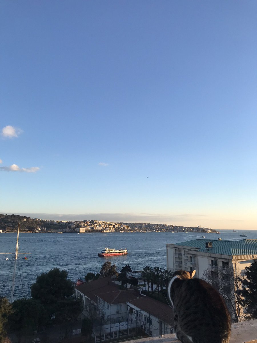 gulllnare's tweet photo. Yazarın "İşte, İstanbulu buraya saklamışlar." Dediği Yahya Efendi dergahı; https://t.co/w52ASSeM6s