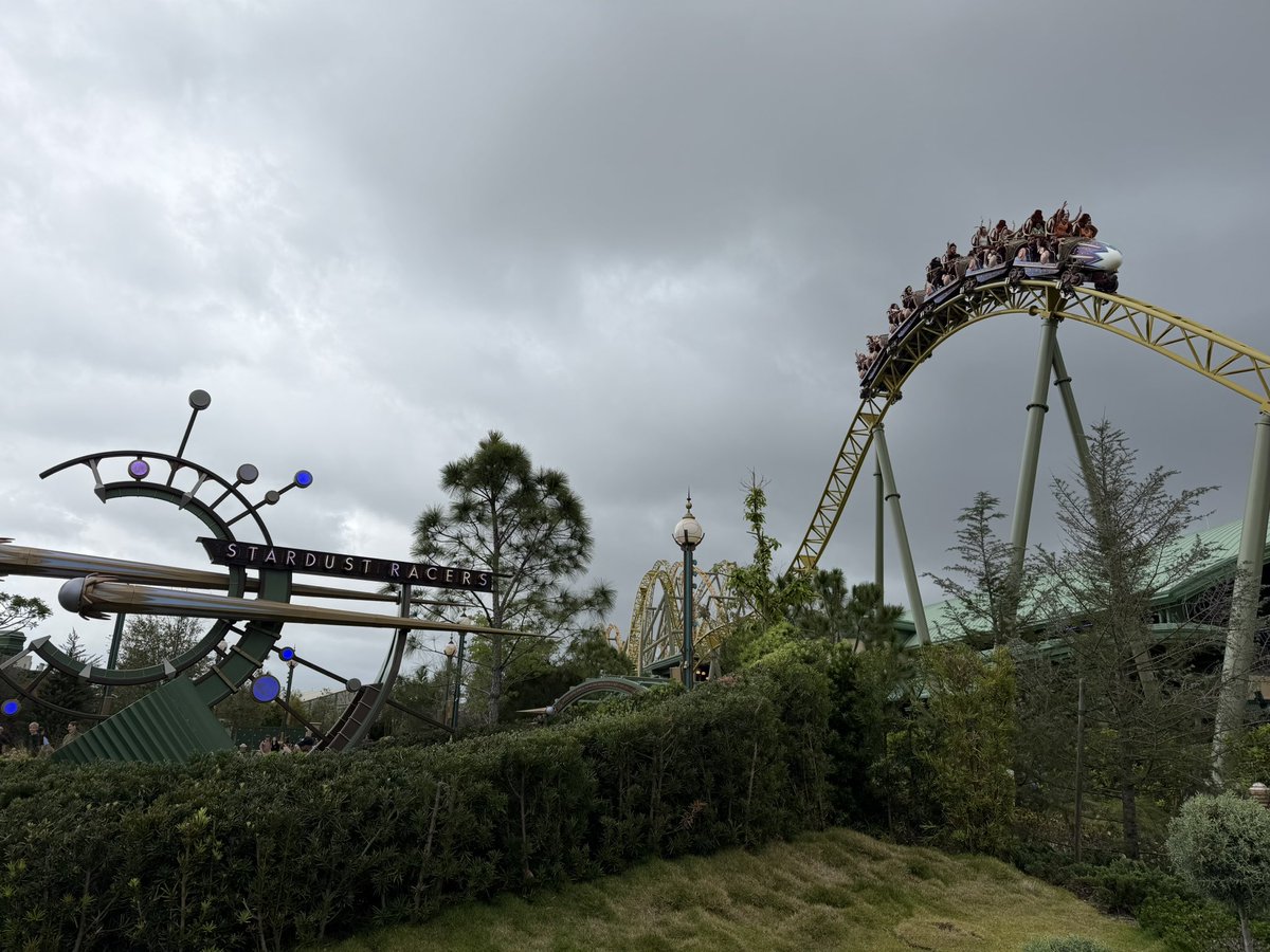 RockNstardust🎸✨ tweet media