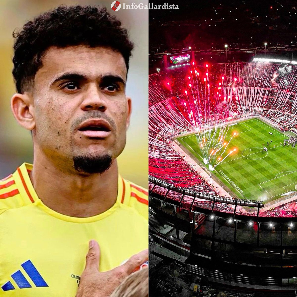 Info Gallardista tweet media