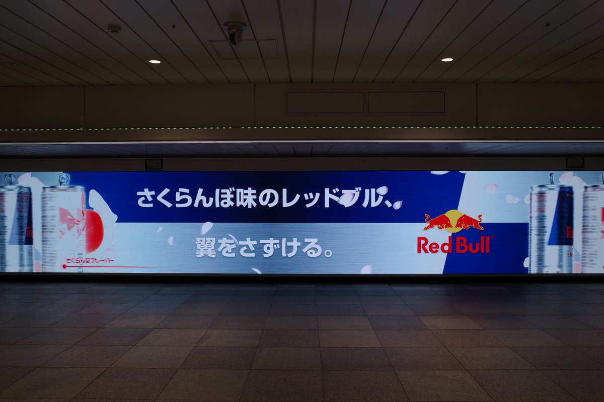 乙城蒼无(Aomu Otsushiro) tweet media