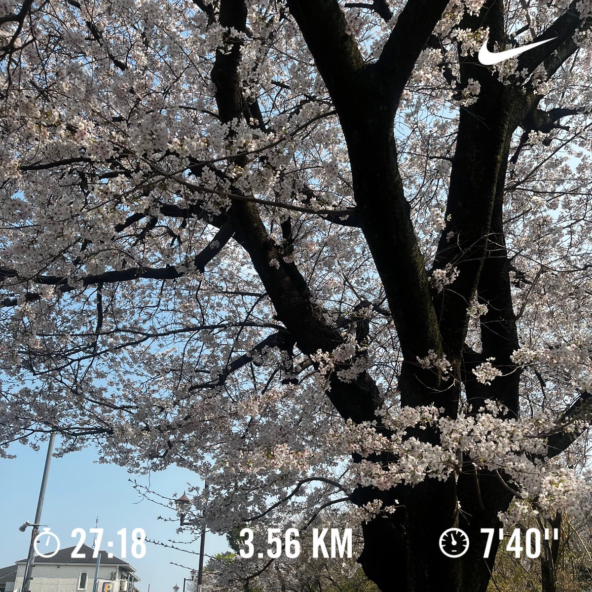 アンバー🔰🏃🏻‍♀️🏃🏻‍♀️ tweet media