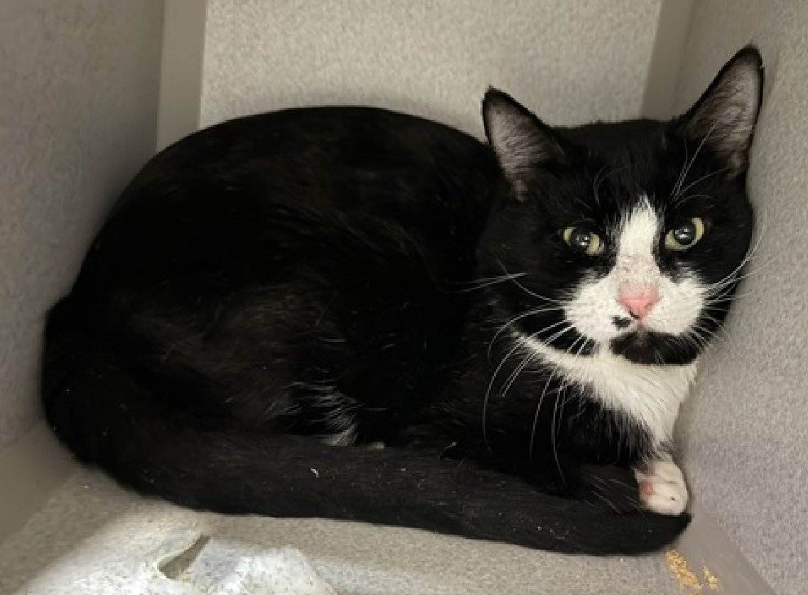 Jack5928 tweet media