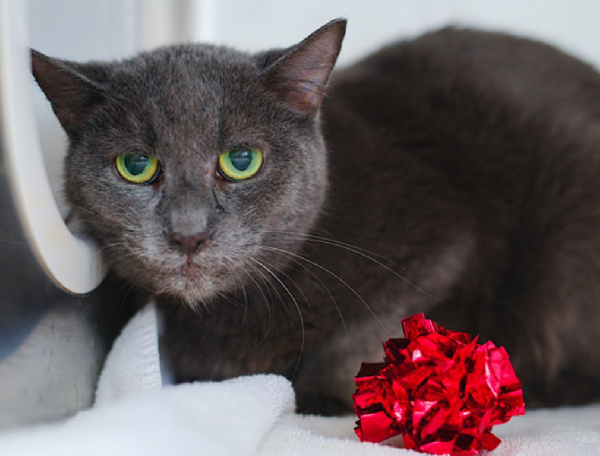 Jack5928 tweet media