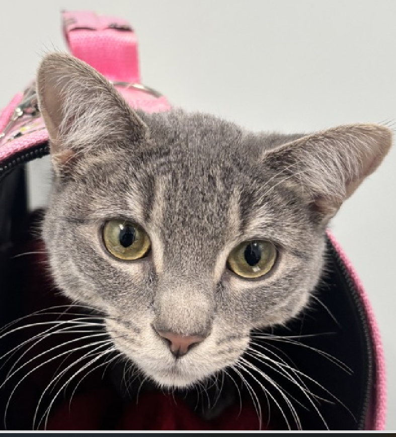 Jack5928 tweet media