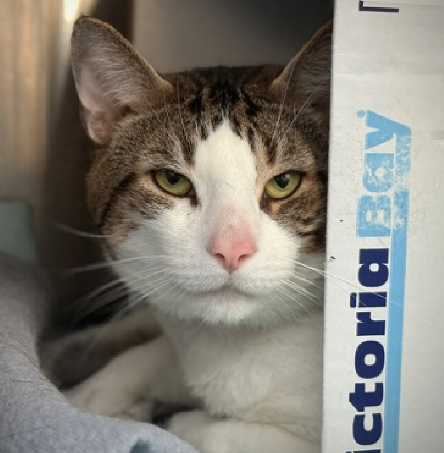 Jack5928 tweet media